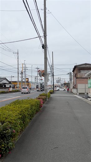 Evening in japan 🇯🇵 #fb #countryside #fblifestyle #japan #japantravel #reels #road #travel #viral | Afshana’s World 日本
