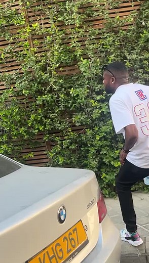 Exploring the Legacy of Vikings: Cyprolina - Home of Sanity