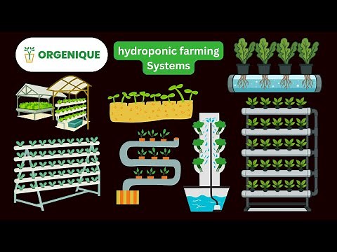 Hydroponics क्या है? | घर पर Hydroponic System कैसे लगाएं? | Full Details (NFT, DWC All Types)