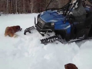 Polaris Ranger Crew With Camoplast Tracks In Deep Snow #3
