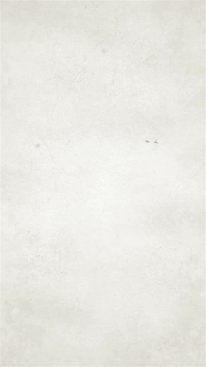 ✨ N DESIGN – Pretvaramo vaše fotografije u uspomene za ceo život! ✨ Ako želite portret vas i vaše voljene osobe, digitalni portret kao savršen poklon za rođendan ili neku posebnu priliku, javite nam se putem privatne poruke! Osim digitalnih portreta, nudimo vam i usluge: ✔ Grafički dizajn ✔ Izrada logotipa ✔ Video edit (short form i long form) ✔ Obrada zvuka ✔ Kreiranje animacija ✔ Web dizajn Pišite nam i zajedno ćemo osmisliti nešto jedinstveno za vas! #shorts #reel #graphicdesign #drawings #sr