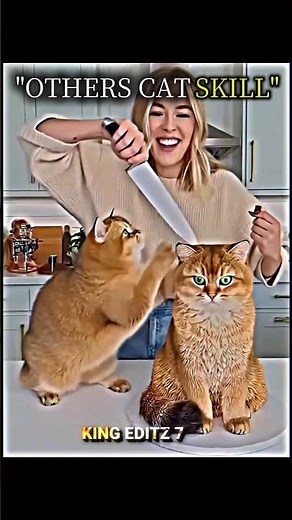 OTHERS CAT SKILL☠️this guy #trollface#trollfaceedit#meme#trending#