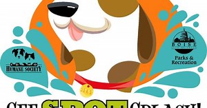 See Spot Splash: Pool party for the pups