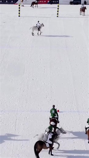 Experience Snow Polo in Stunning St Moritz