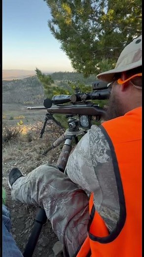 2024 6mm creedmoor hunting kills so far! #hunting #longrangehunting