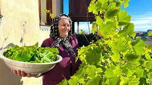 466K views · 10K reactions | Harvesting Fresh Grape Leaves and Cooking Traditional Dolma in the Village | Outdoor Chef | Facebook