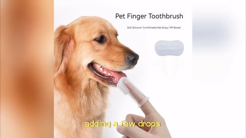 6 Pack Pet Finger Toothbrush for Dogs & Cats - Vet-Recommended Soft Silicone Bristles Dog Dental Care Kit, Cat Dental Hygiene Supplies, Plaque Remover for Puppy Kitten & Adult Pets(6 Colors)