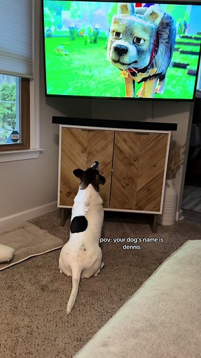 Jack Black's Song for Dennis the Dog