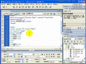 [黑屏优化]Dreamweaver 8入门视频教程105
