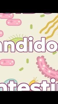 Les principales maladies et troubles de l’intestin expliqués simplement