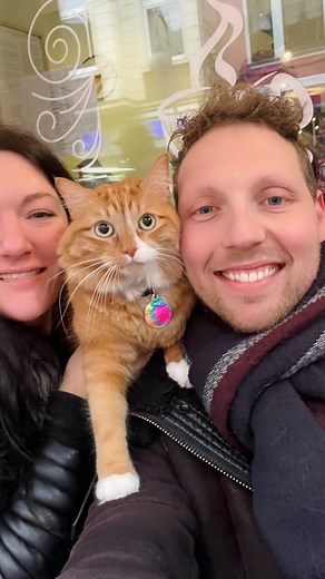 17K views · 367 reactions | Cats aren’t hard to entertain.  Cat Reel cat Video Cat Cat funny | Liebchen Travels | Facebook