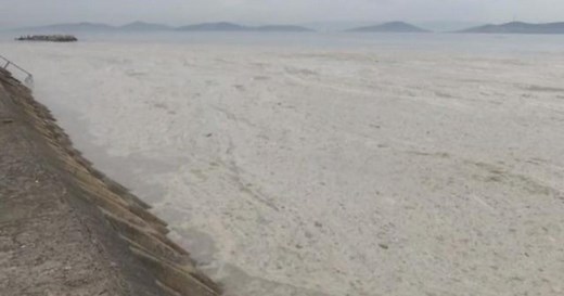 "Sea snot" clogs up Turkey's Marmara Sea