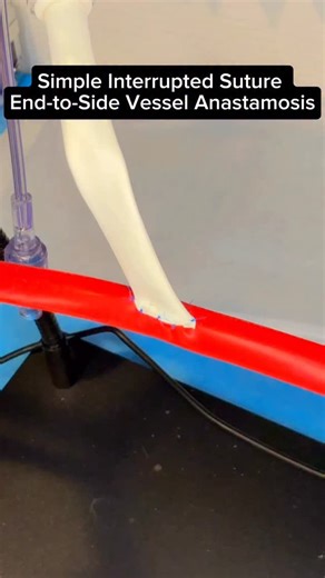 🪡Simple Interrupted Vessel Suture 🪢 #surgery #suture #medicalschool #fyp | Noah Sirkin