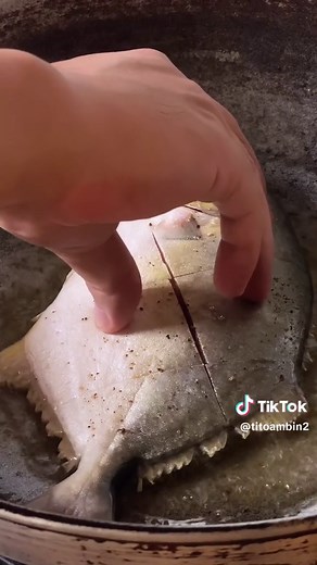 Easy & Delicious Pompano w/ Sun-Dried Tomato Sauce . . . Sun-Dried Tomato Sauce for Pompano: Olive oil Garlic Fresh tomatoes Bottled sundried tomatoes w/ olives and capers Chopped celery stalks Green olives Salt & pepper to taste Honey or sugar to taste Water . . . #pompano #sundriedtomatoes #lunch #familytime #whatimademyparentsforlunch #foodie #foodporn #foodblog #titoambin #easyrecipe #fishrecipes #foodtiktok #foodtok