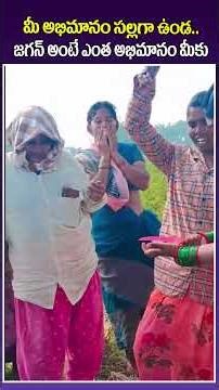 మీ అభిమానం సల్లగా ఉండ |AP Farmer Women's celebrating YS Jagan Birthday #ysjagan #birthdaycelebration