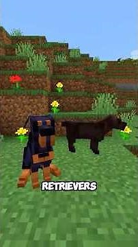 Wild Adventures with Animal Mods in Minecraft!😍🫠
