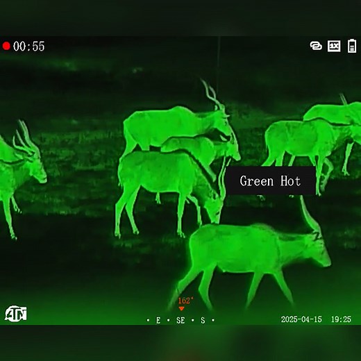 In this stunning footage from the ATN BlazeTrek, antelope roam freely while we cycle through its powerful Color Modes. Whether it’s White Hot, Black Hot, or one of the vibrant palettes, every shift brings clarity and contrast to life - even at a distance. That’s the advantage of having multiple viewing options at your fingertips for any terrain or lighting. Don’t just scout - dominate the night. Head over to atncorp.com and explore the difference. #ATN #atncorp #blaze #hunting #huntinggear #OwnT