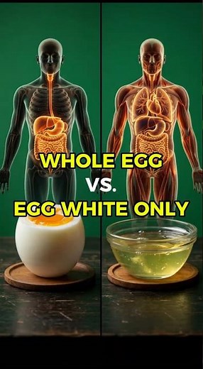 What Happens Inside Your Body When You Eat a Whole Egg vs Egg White Only?