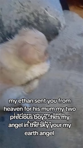 HELEN LOU (@helenbrowne846)’s videos with original sound - selftrue.journey