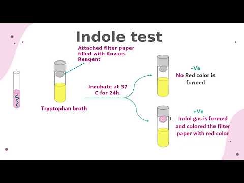 Lab#9:Detection for coliform group in water & IMVC tests