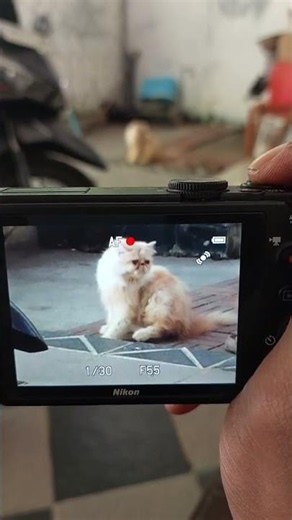 kamera digikam jadul tapi masih bersih jernih dan ok