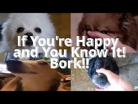 If You're Happy and You Know It!Bork!!(Gabe the Dog)