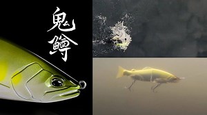 1.9K views · 94 reactions | Realis Onimasu is DUO`s first addition to the glide bait category. Onimasu executes a wide swing and gait to its course of travel. This significant side-to-side “flare” keeps the lure in an evasive pattern yet in the strike window longer, mimicking what DUO calls escape behavior. Its glide pattern can reach nearly 3 feet. https://duo-international.com/?s=onimasu&post_type=products&submit=Search | DUO International | Facebook