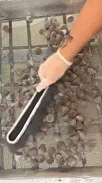 Oreo has been real silent since this dropped...