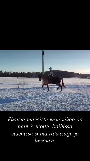 Kouluratsastuksen matka: Haasteet ja opit