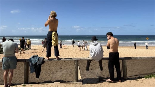 Dee Why shark attack: Northern Beaches man mauled to death in 'terrible tragedy'