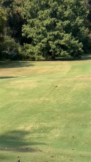 238K views · 2.4K reactions | Huge Day for Levi His 1st Hole-N-One | The Barn Short Course at Beverly Park | Facebook