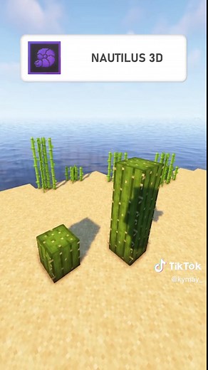 Nautilus 3D | Best Minecraft Texture Packs Part 5 #minecraftshorts #minecraftshaders #shaders #minecraftsurvival #beautiful #minecraftpack #minecrafttexture #minecrafttexturepack #minecraft # #foryou #fyp #fypシ #fypage #fypシ゚viral