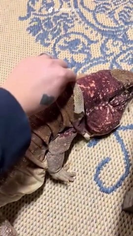 Oddly Satisfying Videos That Will Keep You Watching