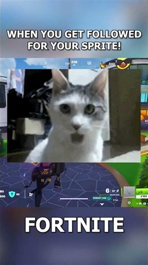 When You Get Followed For Your Sprite!