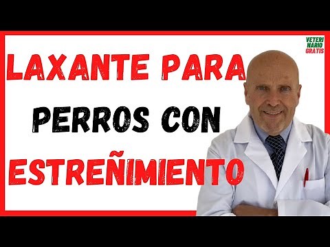 🔴 Natural LAXANTS for DOGS with Severe CONSTIPATION 🔴 My dog does not poop (poop) that I give him