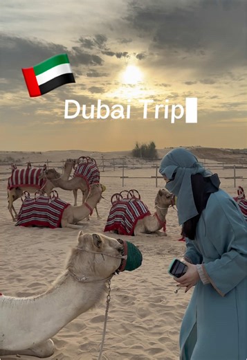 こんなに海外旅行行ってるけど、実は英語全然喋れないの笑 毎回コミュ力だけで乗り切ってる😂😂#Dubai#Vlog