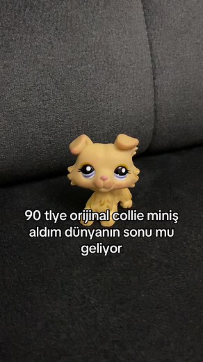 Ama yüzünde boyalar var😔😔 #lps #lpstiktok #lpscollection #lpstok #miniş #littlestpetshop #collie
