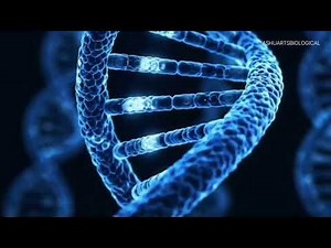 🔬 3D DNA Animation | Human Genetic Code Visualization | Molecular Biology & Genetics Animation