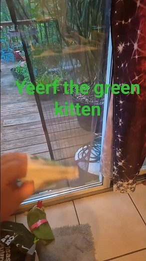 new baby Einstein green kitten puppet