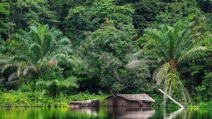 2.8K views · 70 reactions | Rapid diagnostic testing is one of the...