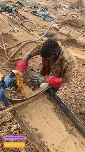 Washing Gold from Mud: How Water Reveals Hidden Treasure in the Earth