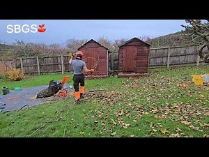 Pruning so Hard the Forest Master Started Smiling 😅🪵