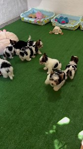 11K views · 59 reactions | HELLOOO!!!! Please like and share  ♥️ ❤️...