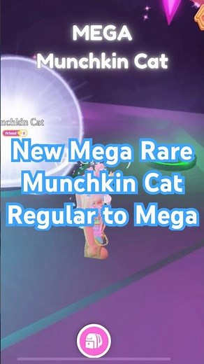 From Regular to MEGA Munchkin Cat Rare Pet Evolution | Adopt Me Roblox