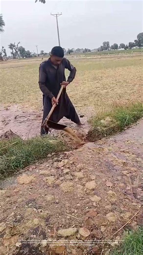 Digging Deep: How Traditional Farming Techniques Nurture Crops