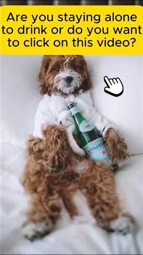 The Ultimate Dog Fails Compilation 🤪