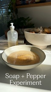 Bringing back the pepper and soap experiment! Such a great visual for why we should wash our hands! 🧼✋ We love doing this with kids and adults as a fun, simple way to demonstrate how soap breaks the surface tension of water and repels germs. Soap also ruptures the plasma membrane of viruses, destroying the virus, so washing hands with soap and water is one of the most effective ways to avoid getting sick and passing viruses to others! 🦠 Here’s how to do the demonstration — 1. Add pepper to a s