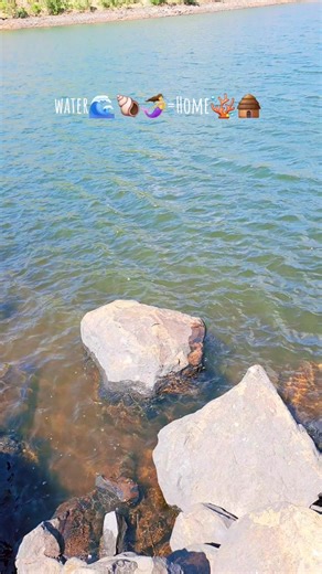 Explore the Mystical World of Mermaid Spirits