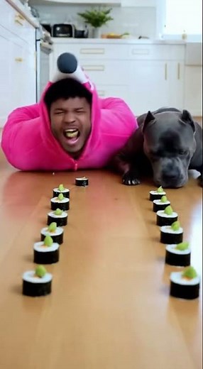 The Funniest Vines Compilation 😂 Try Not To Laugh | Dog Eating Challenge Fail