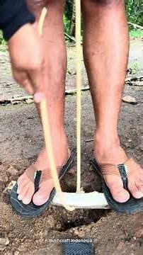 Fire thong method (rattan and wood ) #shortsvideo #survival #diy #creativesurvival#bushcraft #short